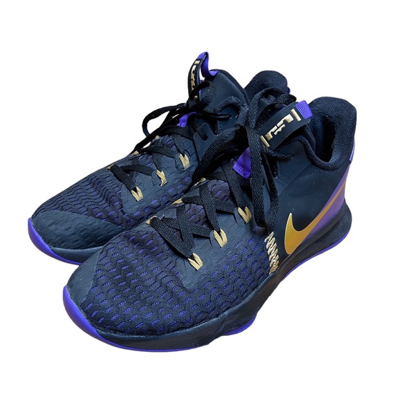 Nike LeBron Witness Fierce Purple Metalic Gold Men's Basketball